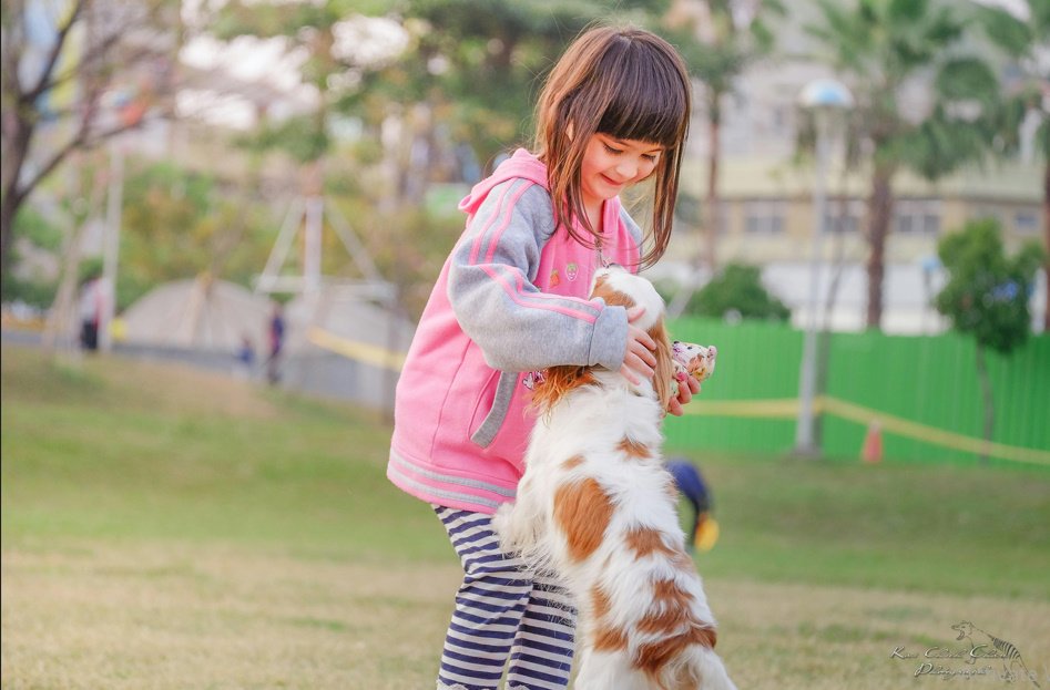 Emotional Caption Bangla